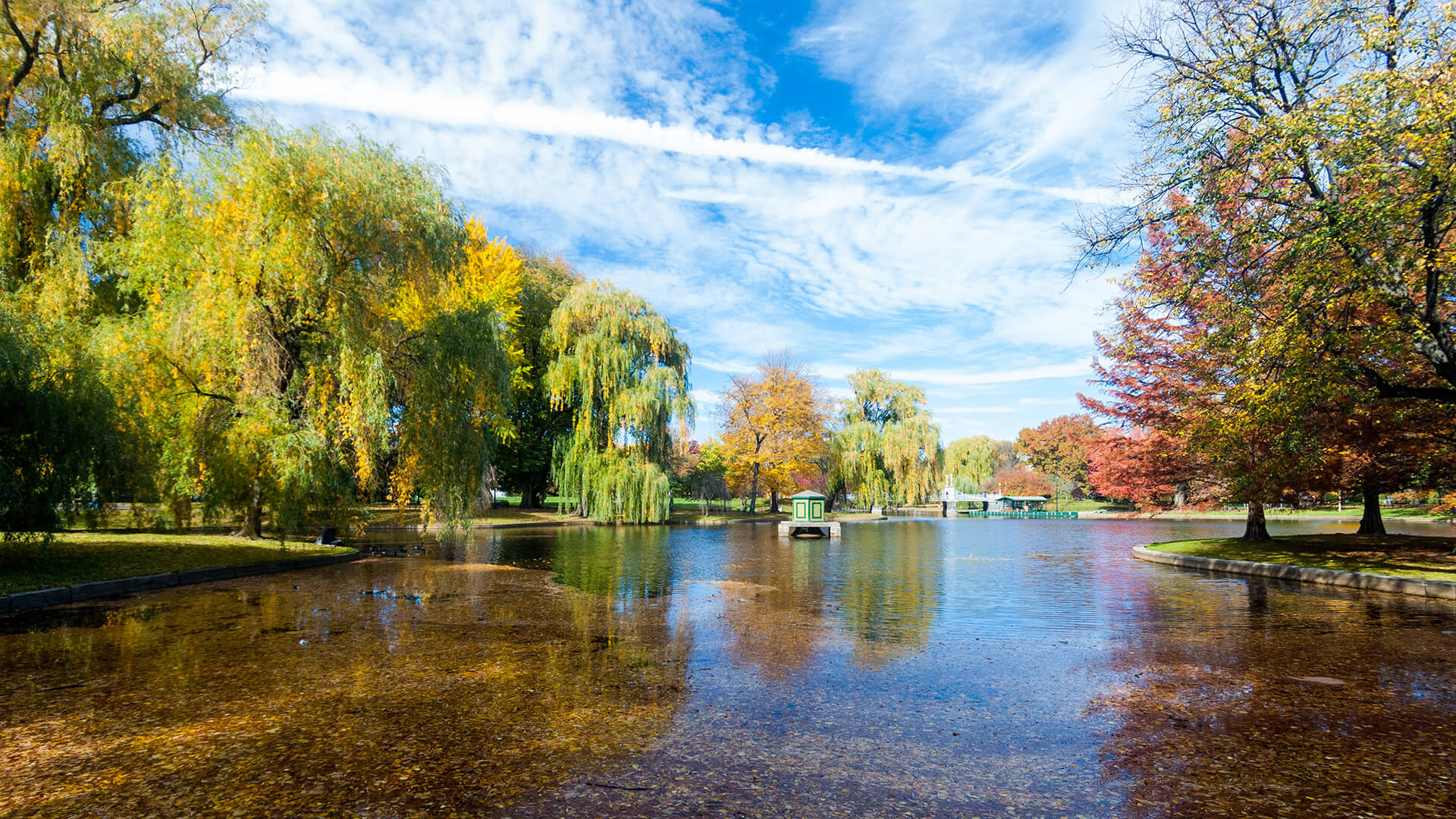 Pond Covered With Fall Leaves In Boston Common Park